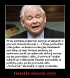 Stare wróciło ...