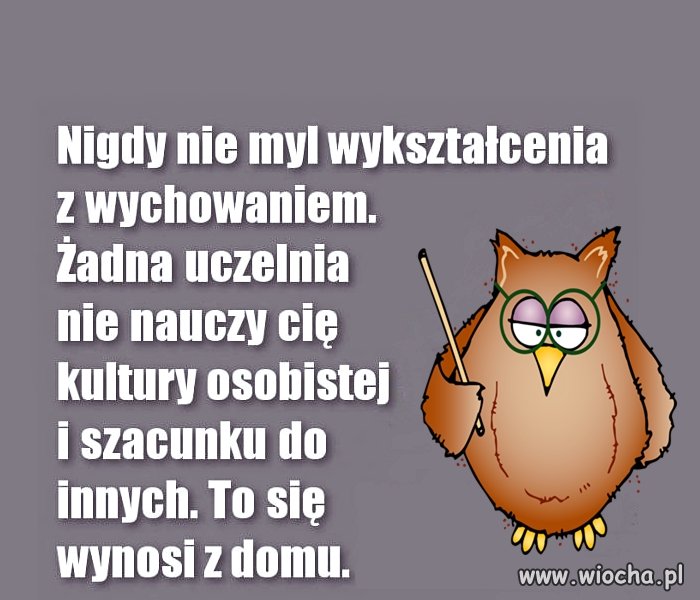 Wykształcenie 