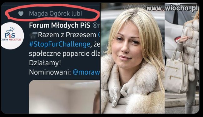 Też się zastanawiam