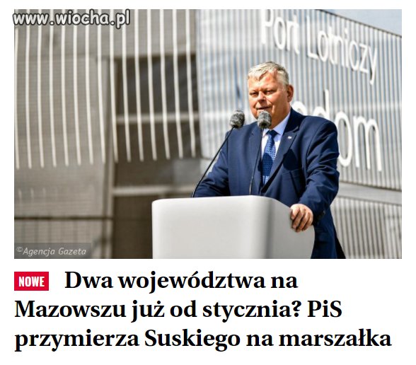 W styczniu marszałkiem, 
