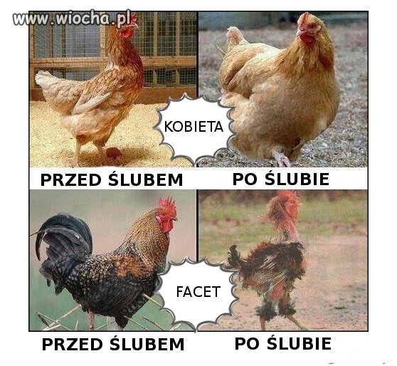 Z życia 