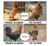 Z życia 