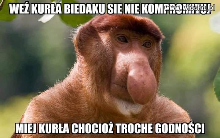 Biedaku, biedaku