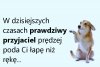 Prawdziwy przyjaciel.