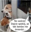 O FUJ !!!