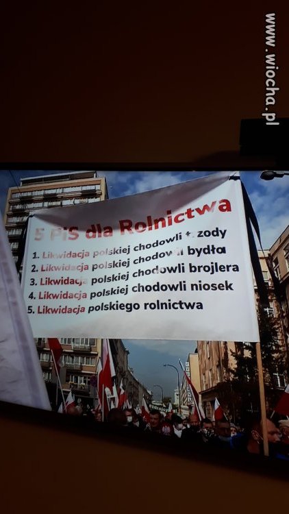 Wykształcony elektorat pis