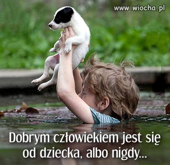 Bądź dobrym dla zwierząt 