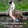 Bądź dobrym dla zwierząt 