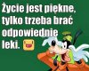 Jarek też bierze leki 