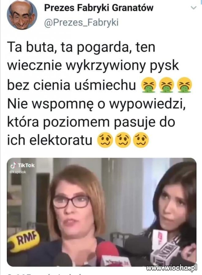 Elektorat