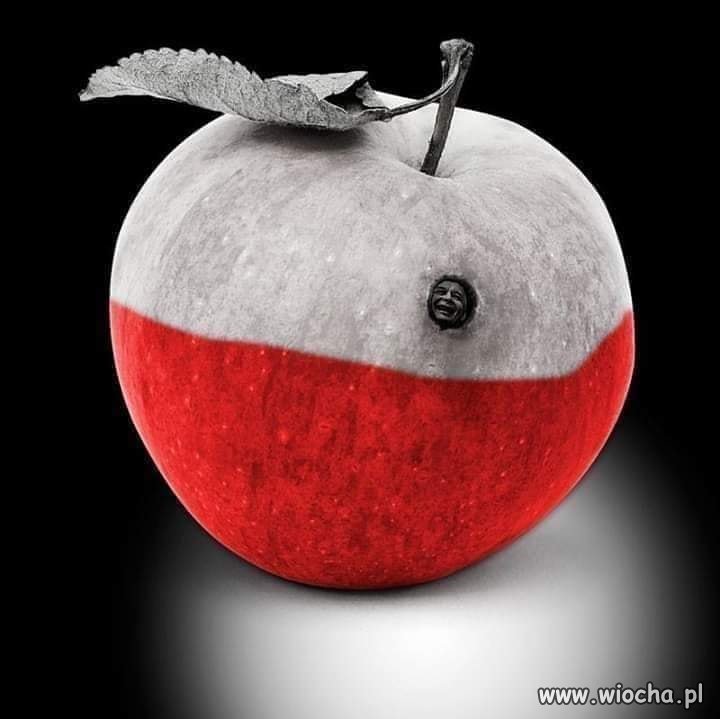 To jest ten robal, który zżera Polskę
