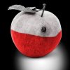 To jest ten robal, który zżera Polskę