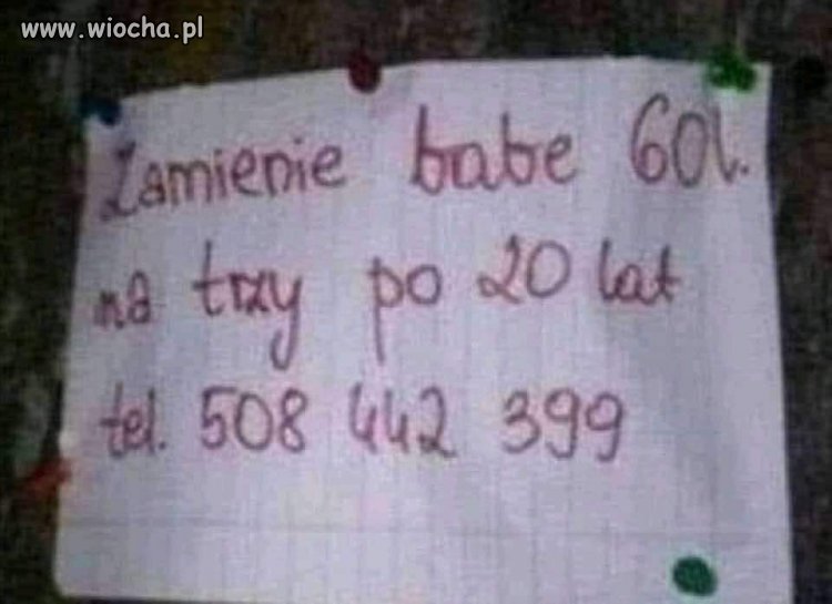 Ogłoszenie z sieci.