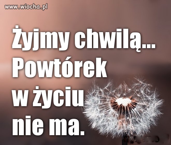 Masz tylko jedno życie. 