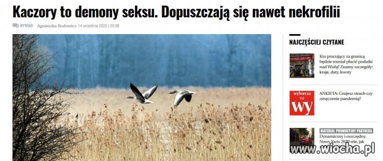 Przegląd prasy...