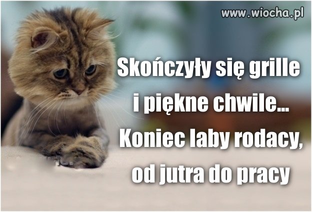 A emeryci czekać na trzynastkę, czternastkę i.t.d