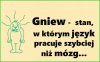 GNIEW 