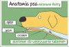 Ci co mają psy, wiedzą że to prawda.