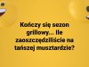 No, pochwalcie się 
