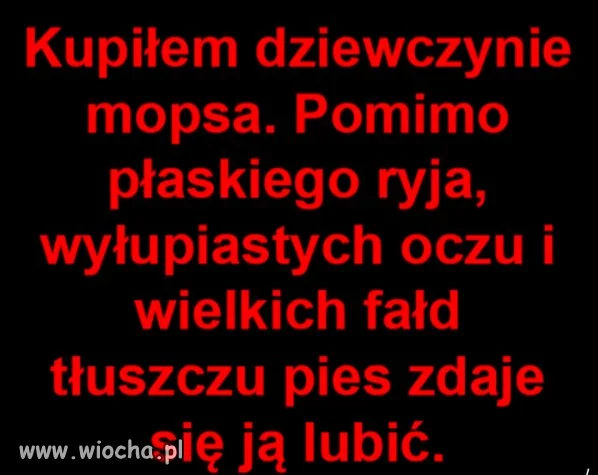 Prezent dla 