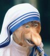 Małpa Teresa z Krakowa