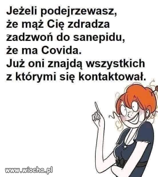 Ciekawy pomysł 