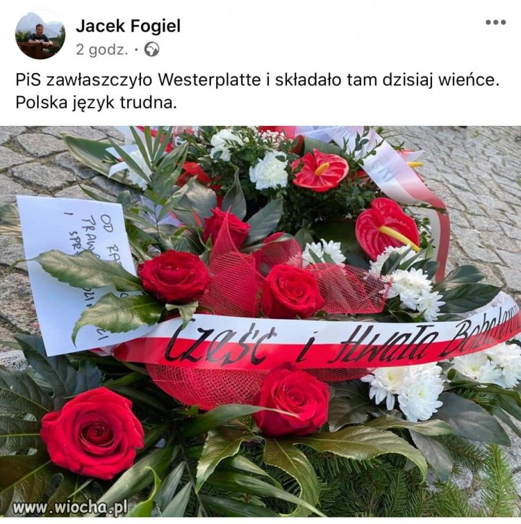 Polska języka trudna.