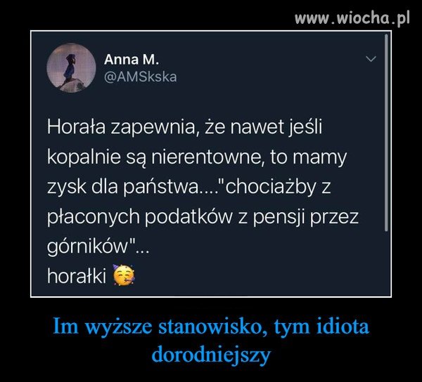 Wyżyny pisowskiego intelektu ...