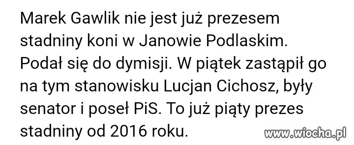 Kolejny pisowiec prezesem