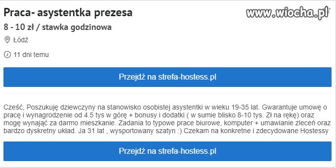 Oferta pracy