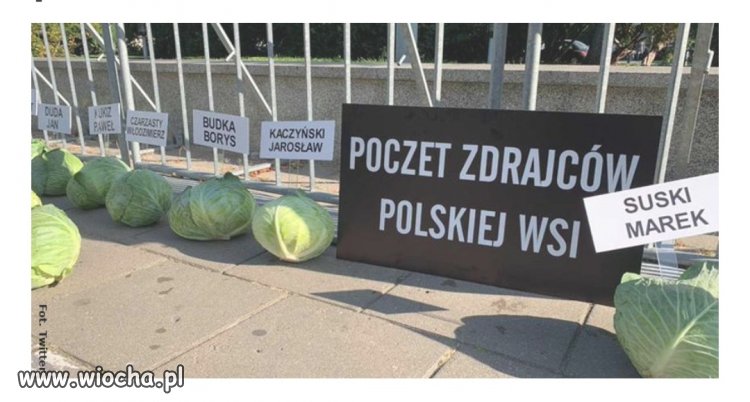 Protest