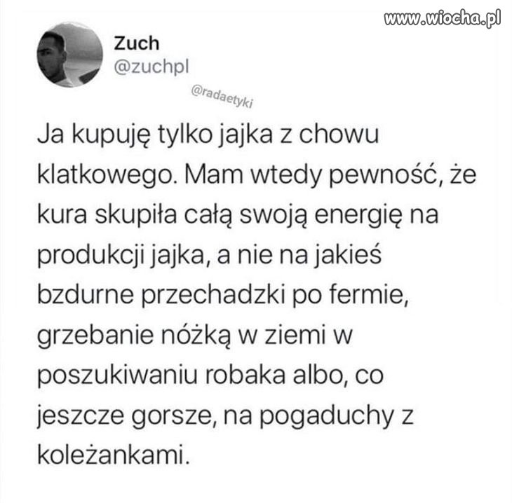 Coś w tym jest