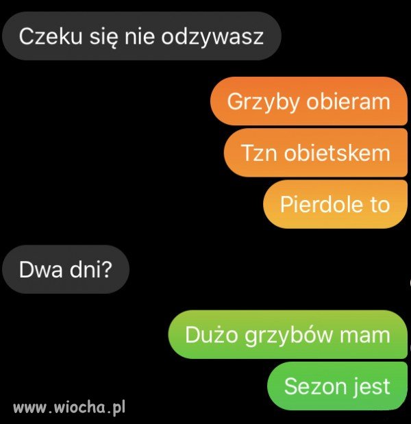 Jest sezon