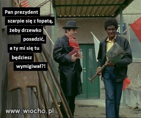 Tytuł zbędny