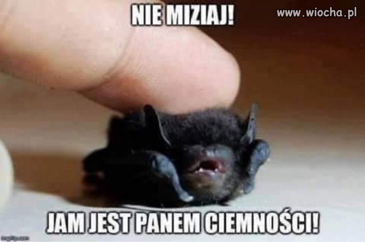 Zabawne.