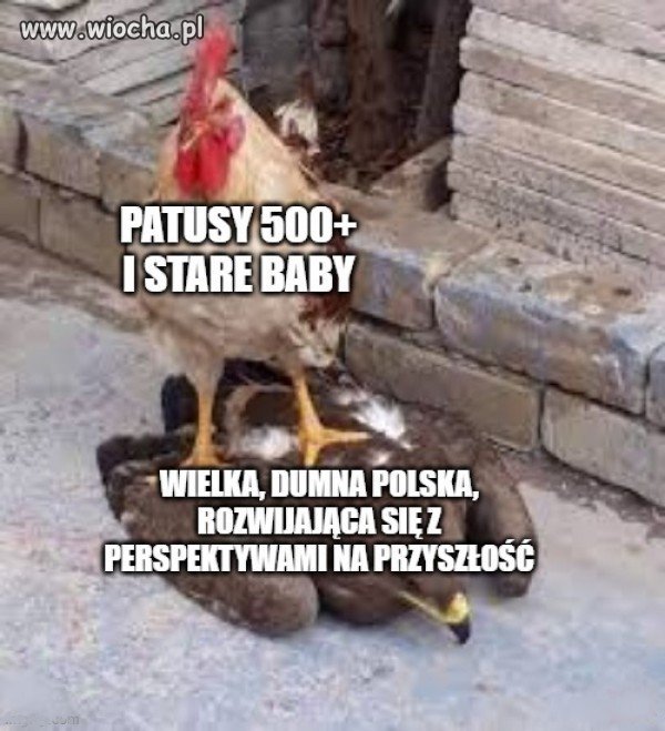 Dumna Polska!