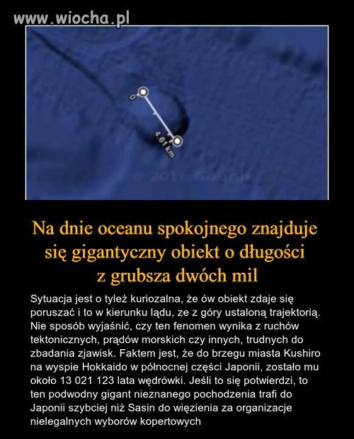 Ciekawostka