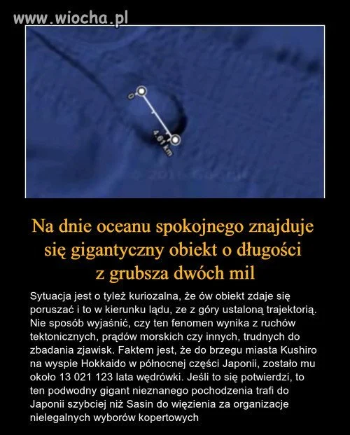 Ciekawostka
