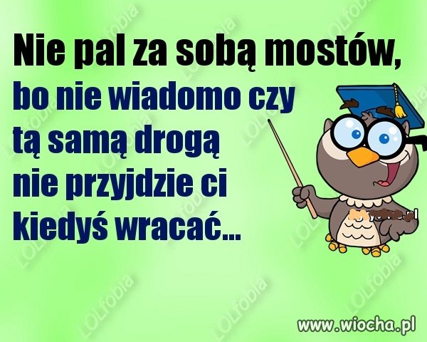 I w polityce jest podobnie