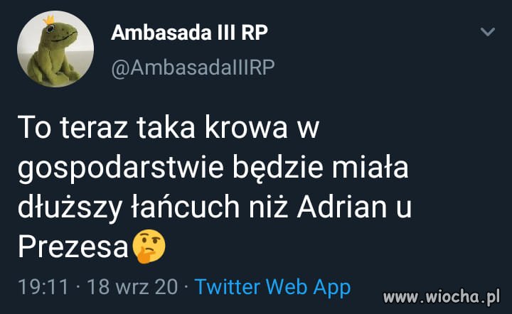 No i co to będzie ?