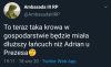 No i co to będzie ?