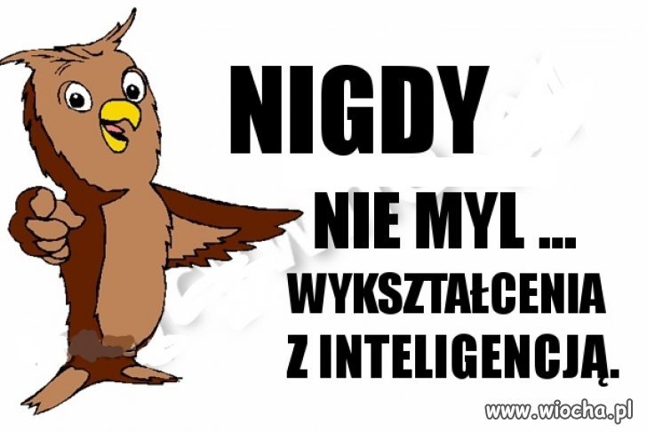 Moja synowa też jest wykształcona !