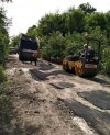 Rzont pis buduje drogi