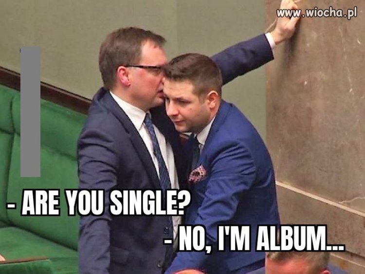 Dialogi na cztery nogi ...