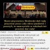 Pandemia