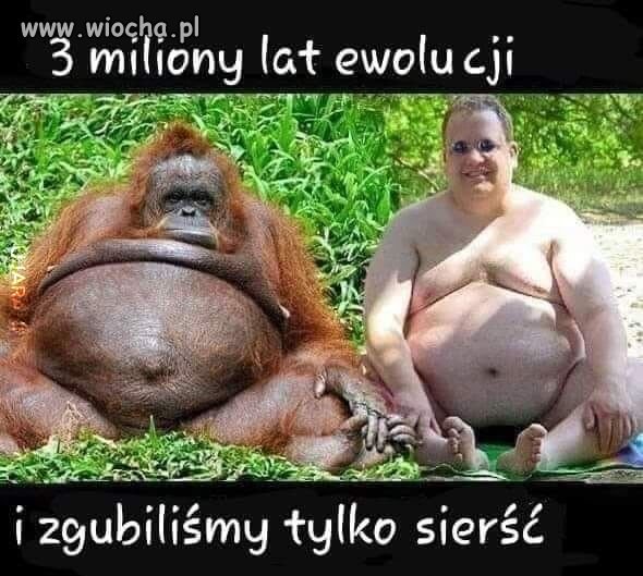 Heheszki