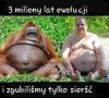 Heheszki