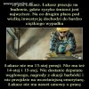 Tyle w temacie