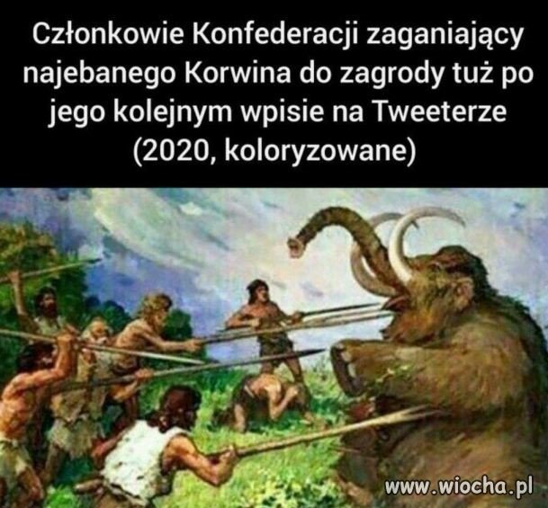 Konfederaci