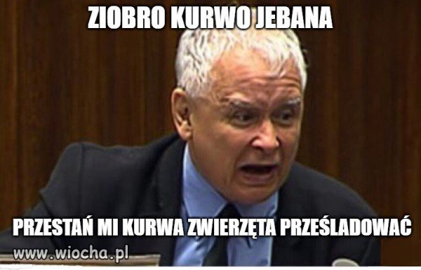 Kryzys w rządzie???